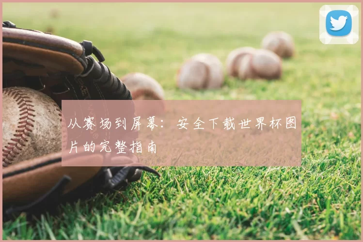 从赛场到屏幕：安全下载世界杯图片的完整指南