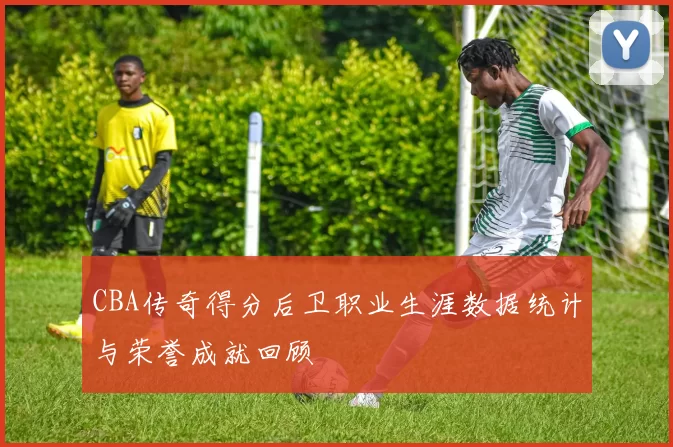 CBA传奇得分后卫职业生涯数据统计与荣誉成就回顾