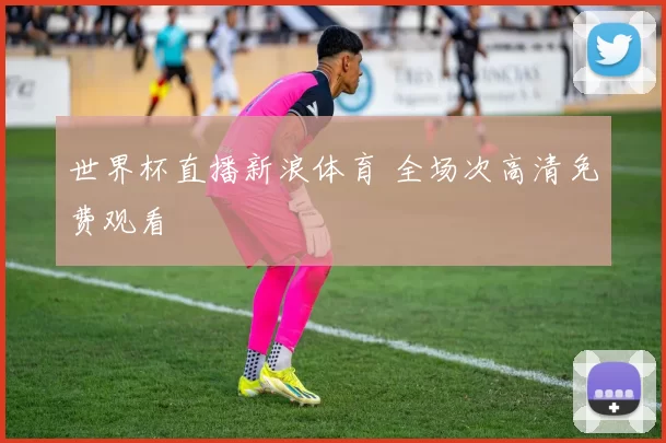 世界杯直播新浪体育 全场次高清免费观看