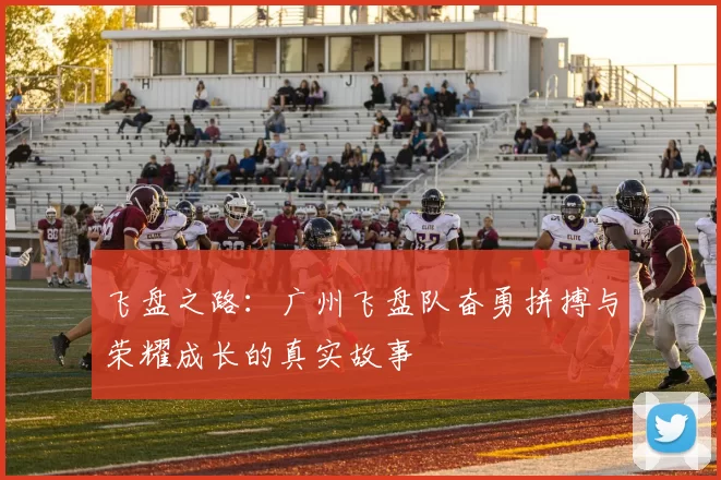飞盘之路:广州飞盘队奋勇拼搏与荣耀成长的真实故事