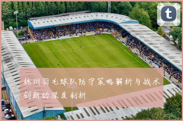 杭州羽毛球队防守策略解析与战术创新的深度剖析