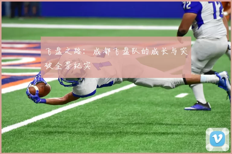 飞盘之路：成都飞盘队的成长与突破全景纪实