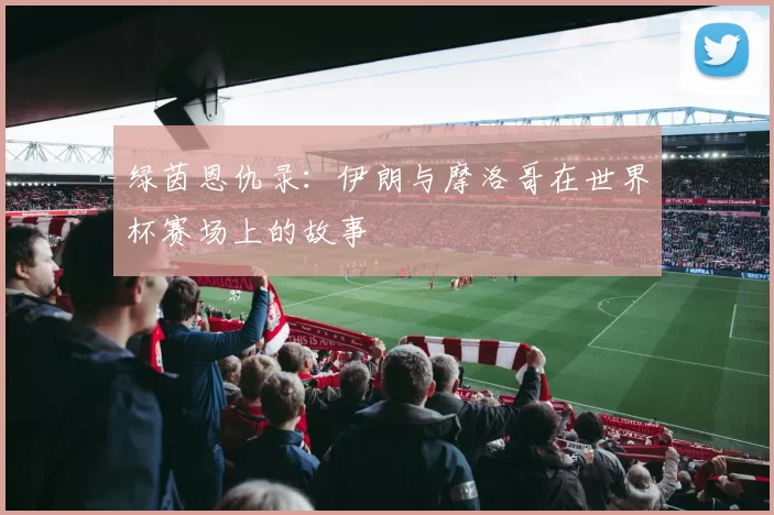 绿茵恩仇录:伊朗与摩洛哥在世界杯赛场上的故事
