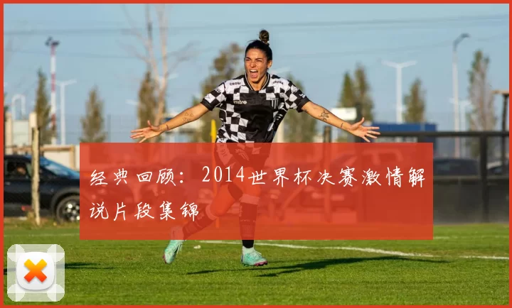 经典回顾:2014世界杯决赛激情解说片段集锦