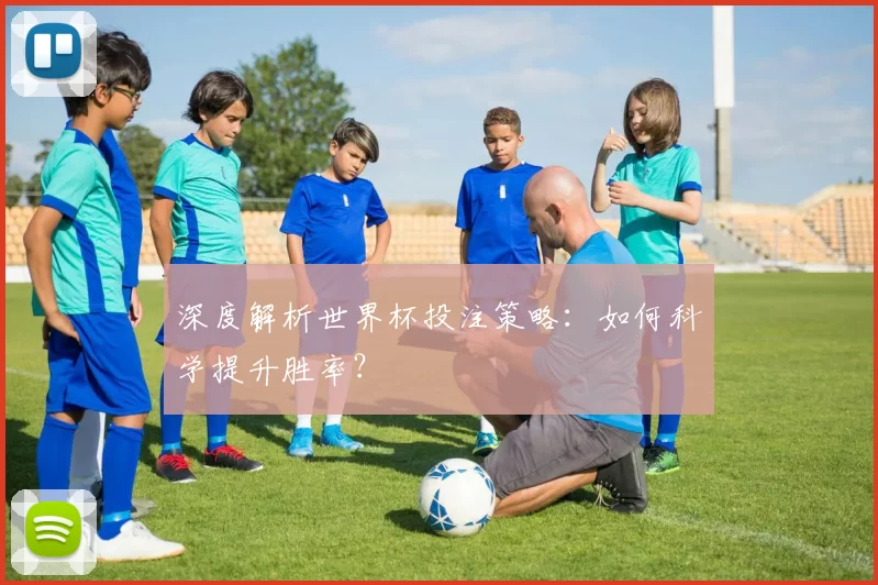 深度解析世界杯投注策略：如何科学提升胜率？