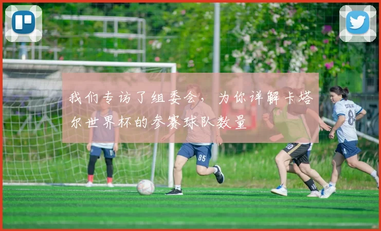 我们专访了组委会,为你详解卡塔尔世界杯的参赛球队数量