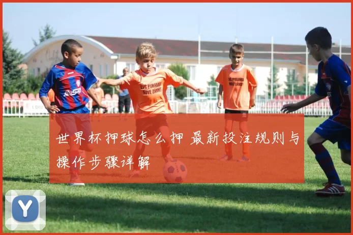 世界杯押球怎么押 最新投注规则与操作步骤详解